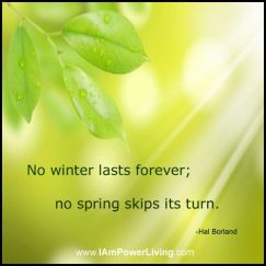 no winter lasts